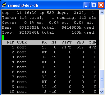 Fig: Partial output truncated during PuTTY window resize