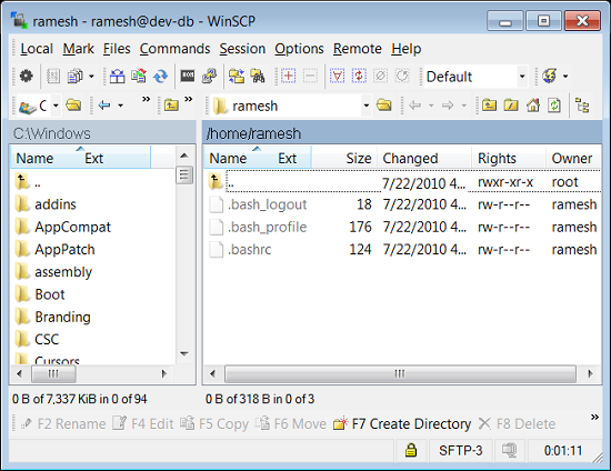 copy file in ssh session putty