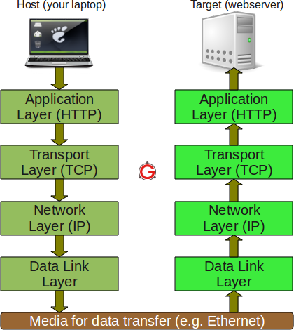 tcp ip view