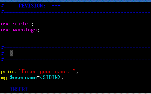 Perl 支持框架注释