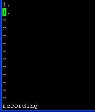 Vim Recording Message