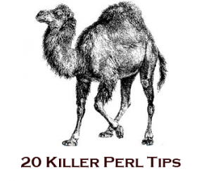 Perl Tutorial for Beginners