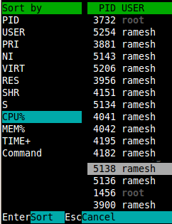 Top On Steroids 15 Practical Linux Htop Examples