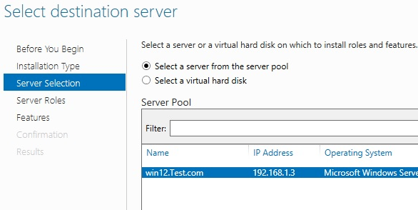 Windows Add Roles Select Server