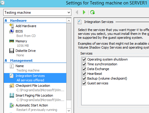 Hyper-V Integration Service Select Services