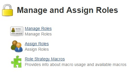 Jenkins Manage and Assign Roles