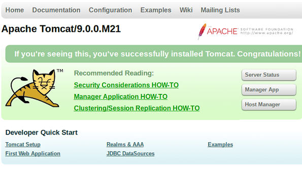 apache tomcat 9.0 65